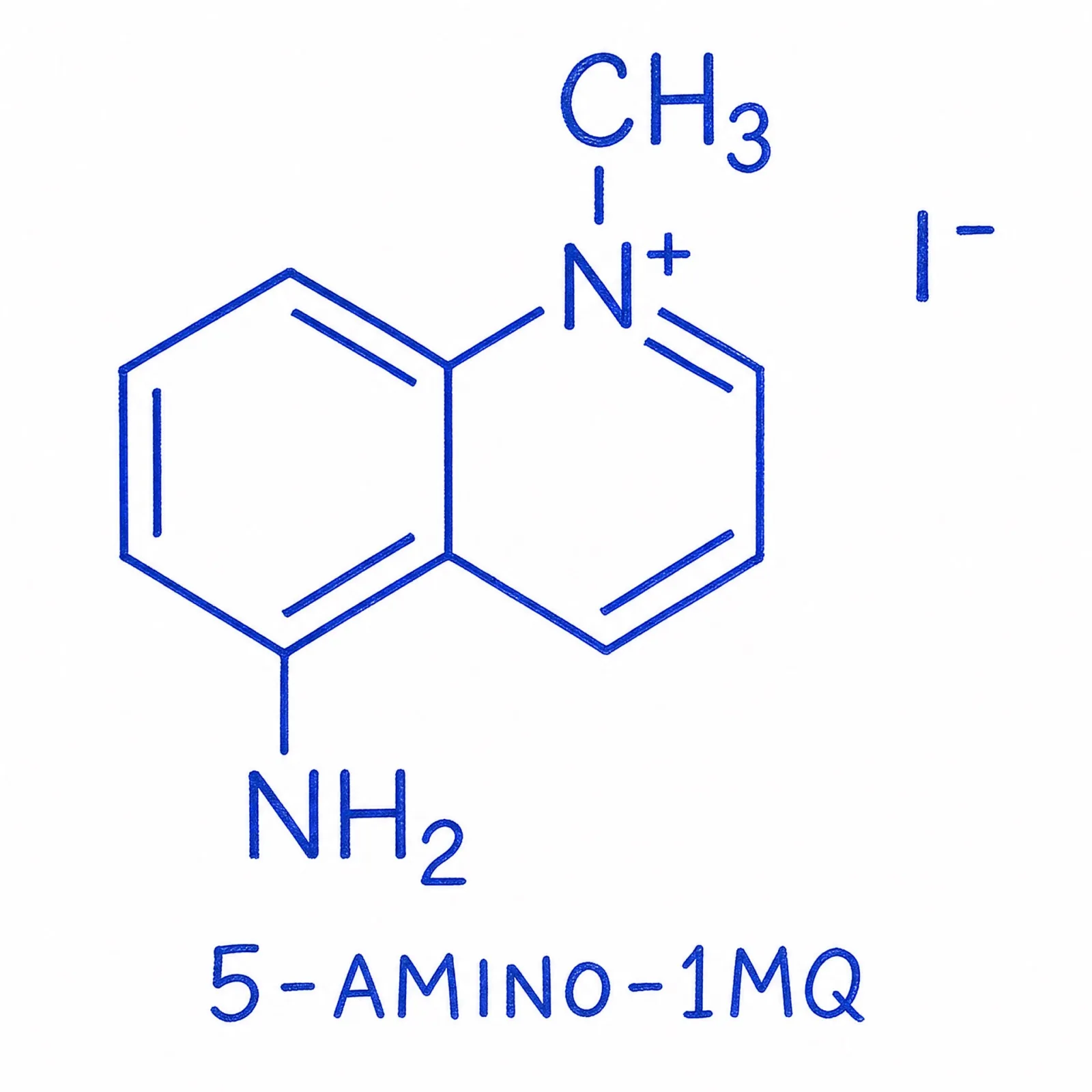 5-Amino-1MQ thumbnail 2