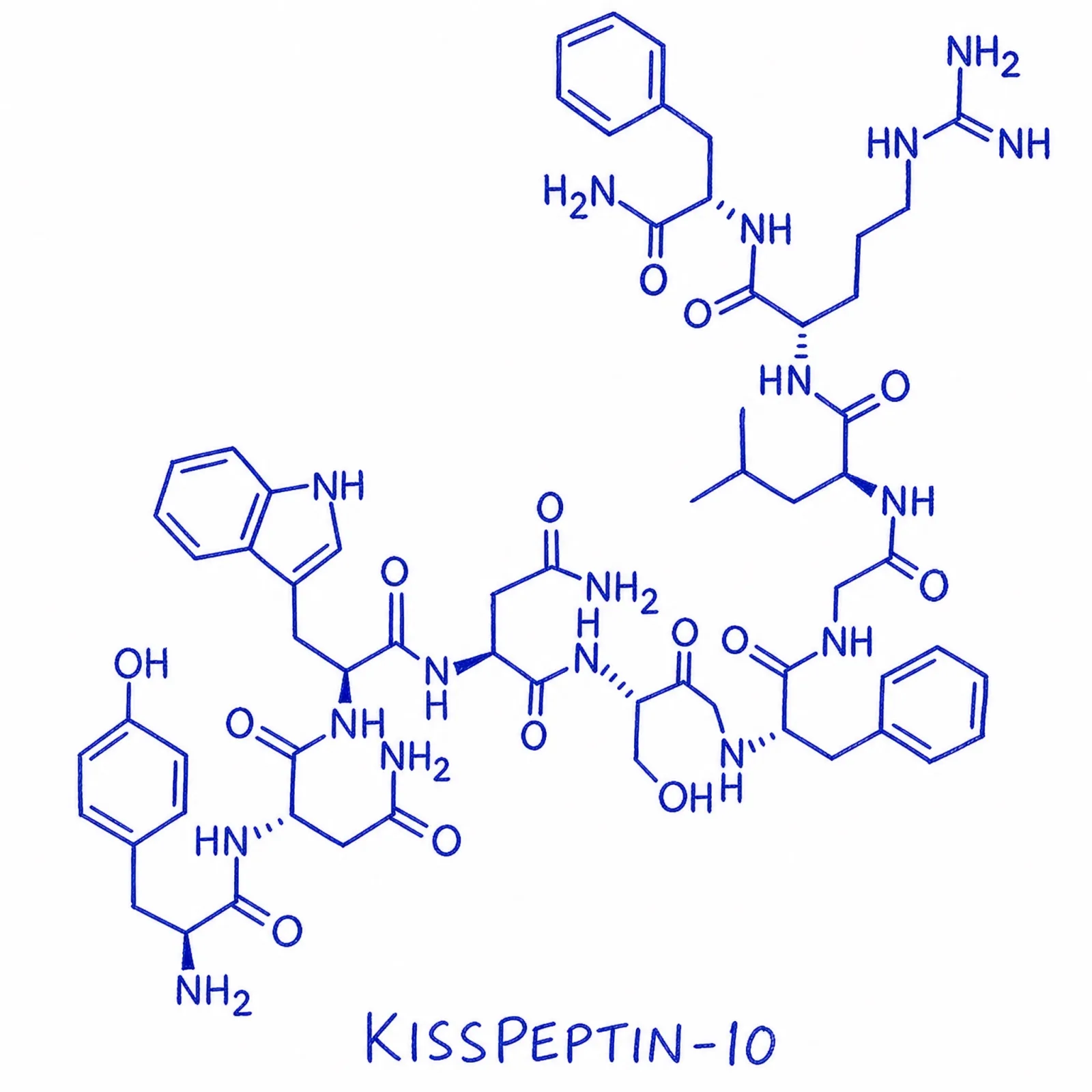 Kisspeptin-10 thumbnail 2