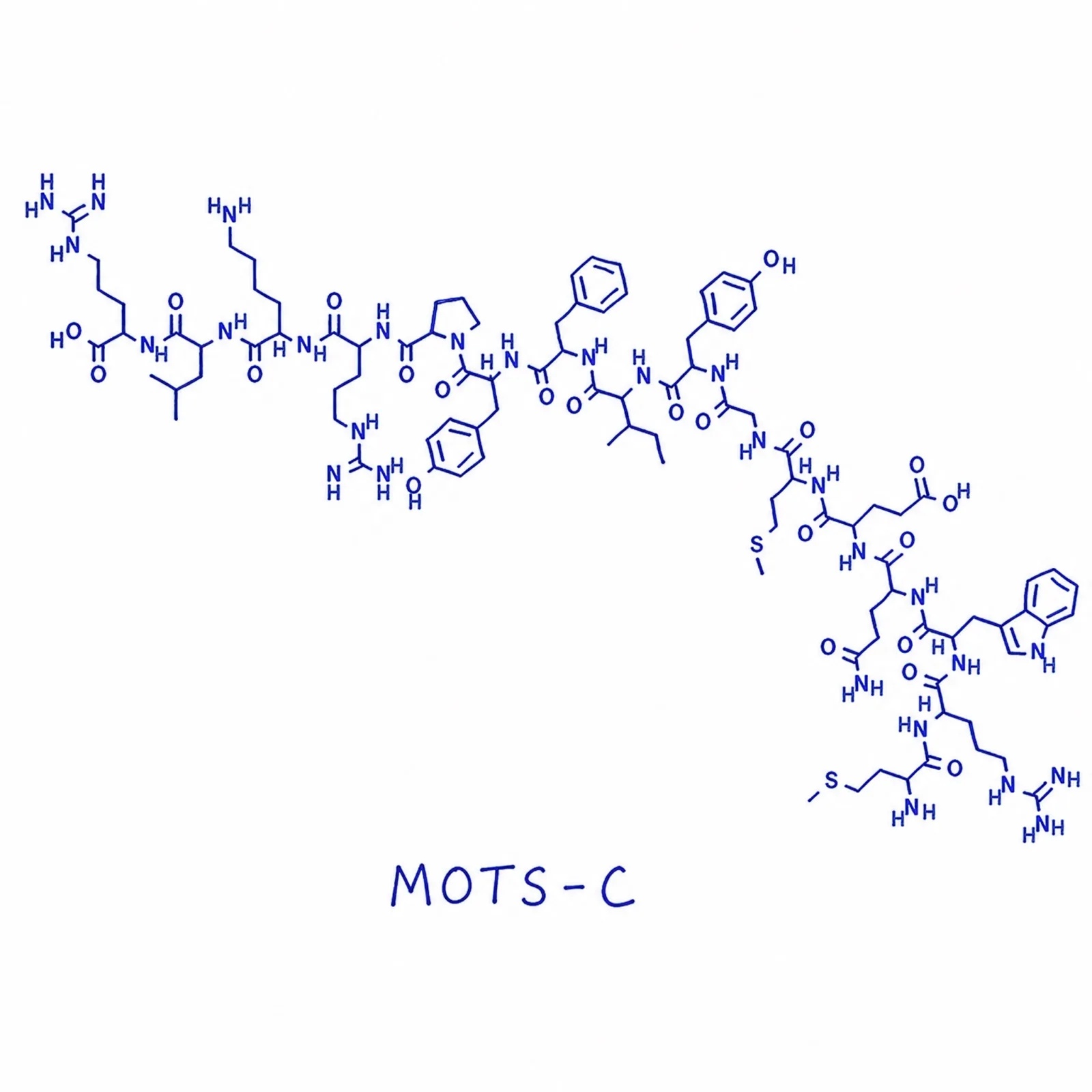 MOTS-c thumbnail 2
