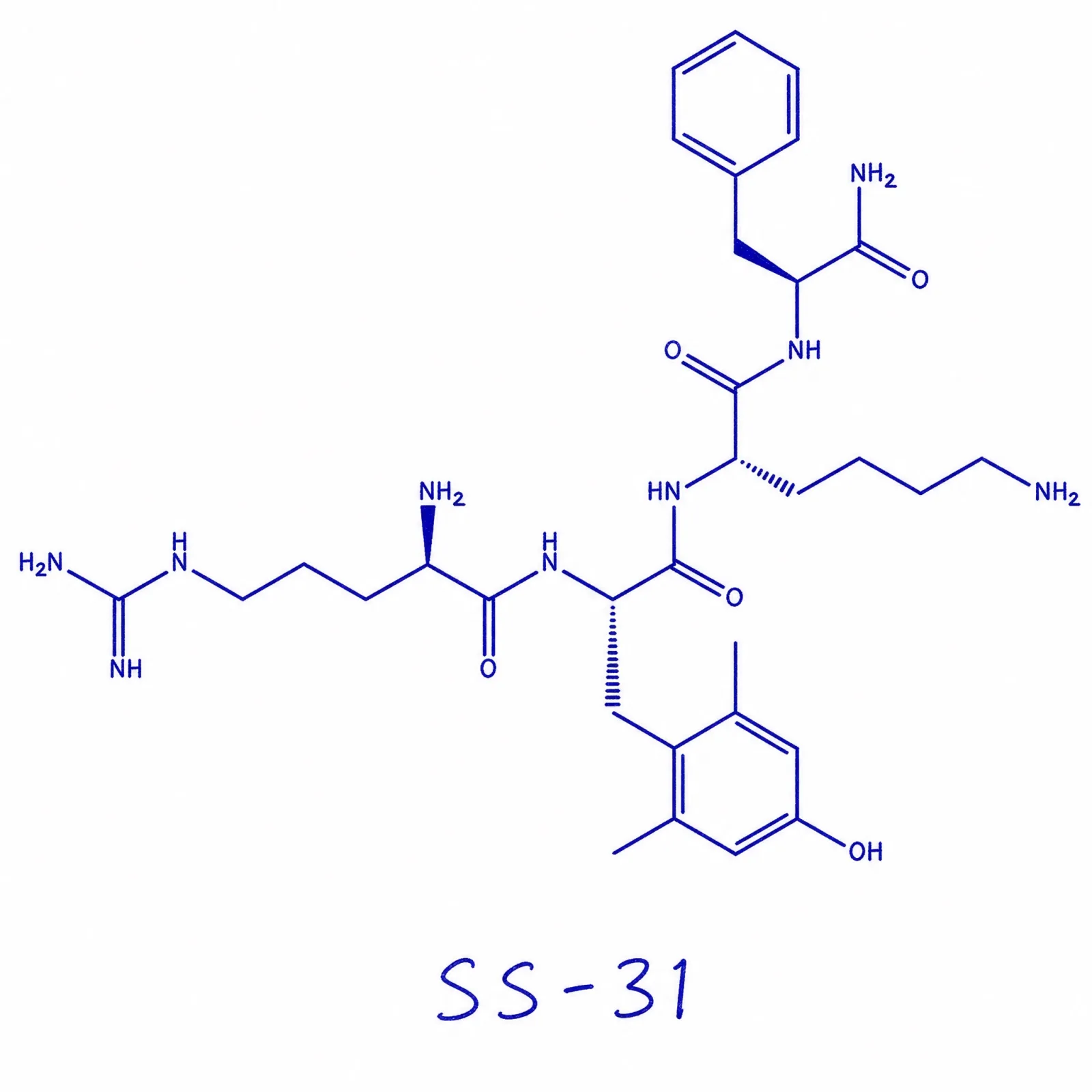 SS-31 thumbnail 2