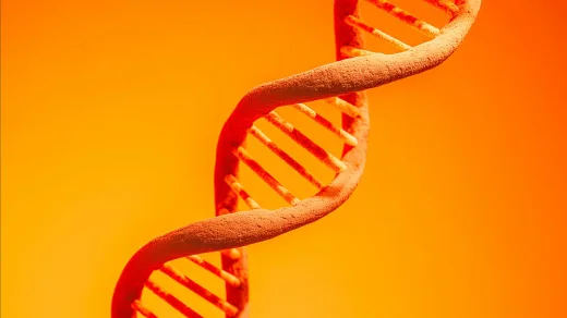 Illustration of a DNA double helix